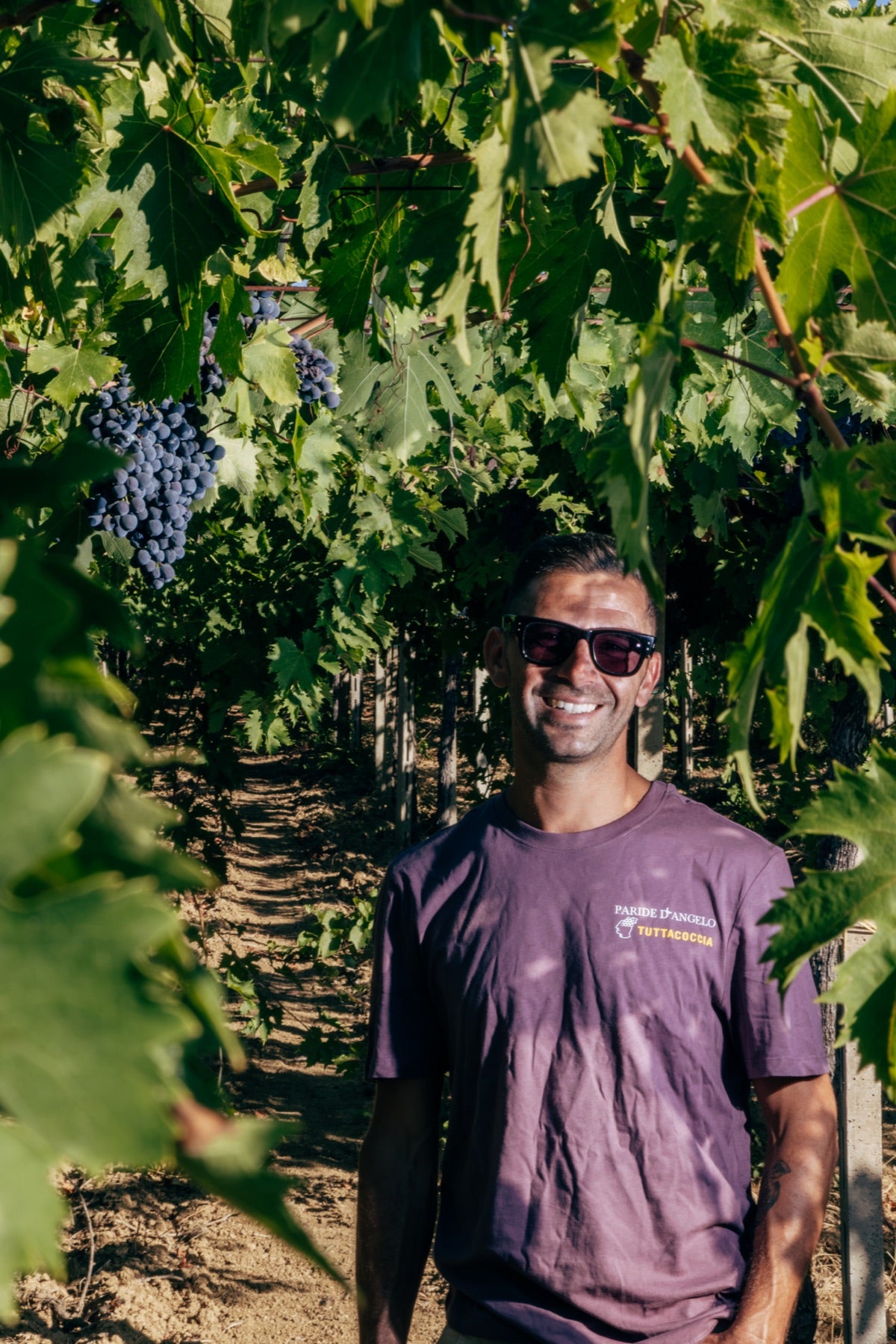 Paride D’Angelo standing among the vines in Pianella